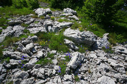 Paklenica_Bojinac_Chorvatsko