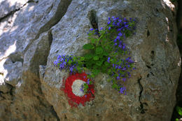 Paklenica_Bojinac_Chorvatsko