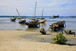 Zanzibar, Tanzánie, Afrika