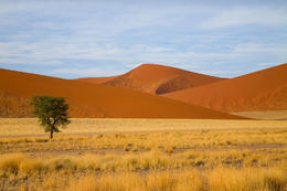 Písečné duny Sossusvlei, národní park Namib, Namibie, Afrika
