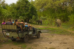 Národní park Luangwa, Zambie, Afrika