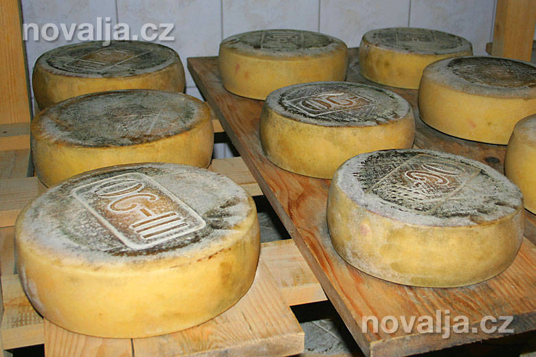 Výroba pažského sýru