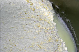 Výroba Pažského sýru, ostrov Pag