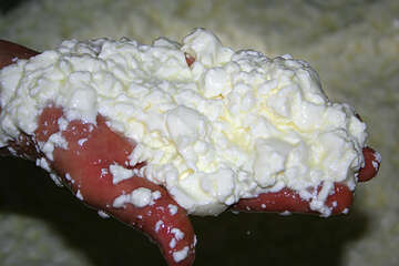 Výroba Pažského sýru, ostrov Pag