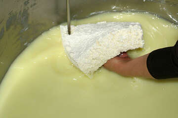 Výroba Pažského sýru, ostrov Pag