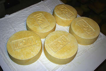 Výroba Pažského sýru, ostrov Pag