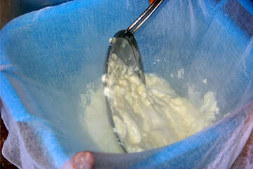 Výroba skuty, ostrov Pag