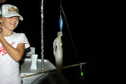 Lov olihní v Chorvatsku