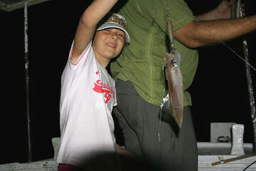 Lov olihní v Chorvatsku