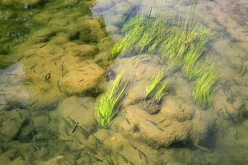 Skradinské vodopády, Chorvatsko