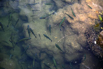 Skradinské vodopády, Chorvatsko