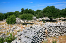 Chorvatsko, Apartmány Lun, Tovarnele, ostrov Pag