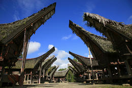 Vesnice, kraj Tana Toraja, Sulawesi, Indonesie