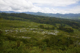 Kraj Tana Toraja, Sulawesi, Indonesie