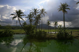 Termální jezírko, kraj Tana Toraja, Sulawesi, Indonesie