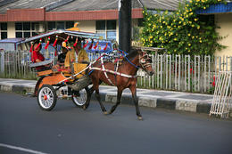 Sulawesi, Indonesie
