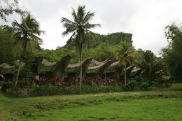 Kraj Tana Toraja, Sulawesi, Indonesie