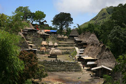 Ostrov Flores, Indonesie