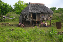 Dům na kůlech, okolí Com, Východní Timor