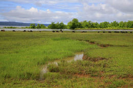 Jezero Lagos, Východní Timor
