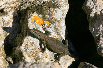 Národní park Mljet, Chorvatsko