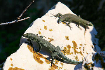 Národní park Mljet, Chorvatsko