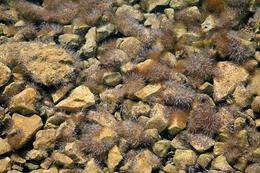 Národní park Mljet, Chorvatsko