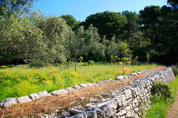 Národní park Mljet, Chorvatsko