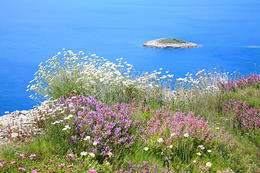 Národní park Mljet, Chorvatsko