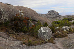 Andringitra, centrální Madagaskar