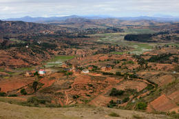 Rýžová pole, centrální Madagaskar