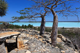 NP Lac Tsimanampetsotsa, jihozápadní Madagaskar
