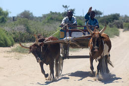 Severní Madagaskar