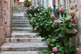 Město Korčula, Chorvatsko