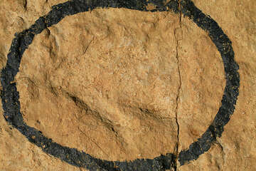 Zkamenělé otisky dinosauřích stop, Kamenjak, Chorvatsko Istrie