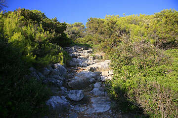 Národní park Mljet, pěšina k útesům na jihu ostrova, Chorvatsko
