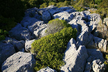 Národní park Mljet, geologicky zajímavá oblast, Chorvatsko