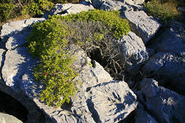 Národní park Mljet, geologicky zajímavá oblast, Chorvatsko