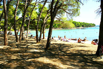 Apartmány Borovi - borovicový lesík u pláže Soline, Chorvatsko