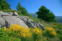 Omiš-Duće, Chorvatsko