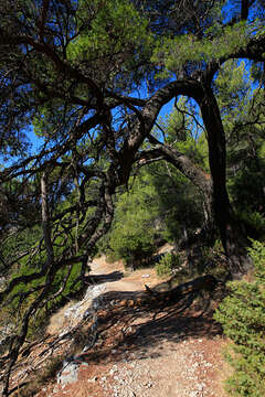 Klášter Pustinja Blaca, ostrov Brač, Chorvatsko