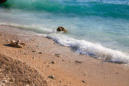 Tučepi, Makarská riviéra, Chorvatsko