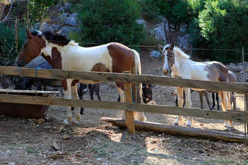 Písečná pláž Lovrečina, ostrov Brač, Chorvatsko