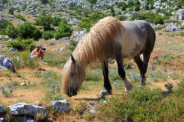 Chráněná oblast Biokovo, Chorvatsko