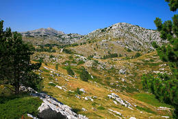 Chráněná oblast Biokovo, Chorvatsko