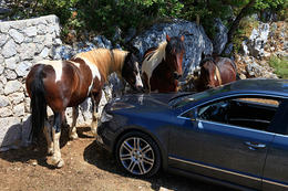 Ranč Vrata Biokova, chráněná oblast Biokovo, Chorvatsko