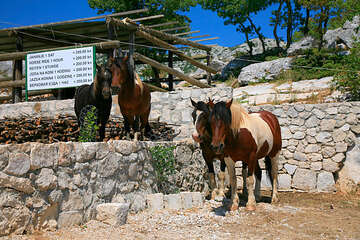 Ranč Vrata Biokova, chráněná oblast Biokovo, Chorvatsko