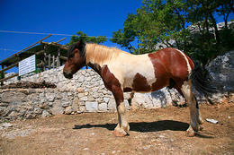 Ranč Vrata Biokova, chráněná oblast Biokovo, Chorvatsko