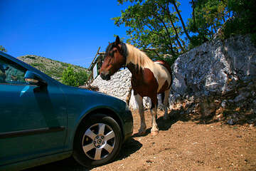Ranč Vrata Biokova, chráněná oblast Biokovo, Chorvatsko