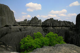 Tsingy de Bemarahas - Grands Tsingy, západní Madagaskar